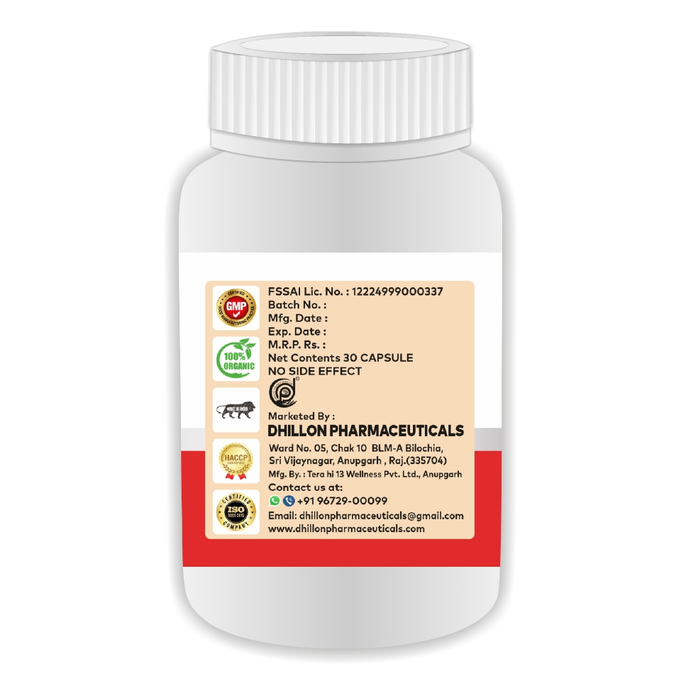 Noor-e-Jaan - Image 5