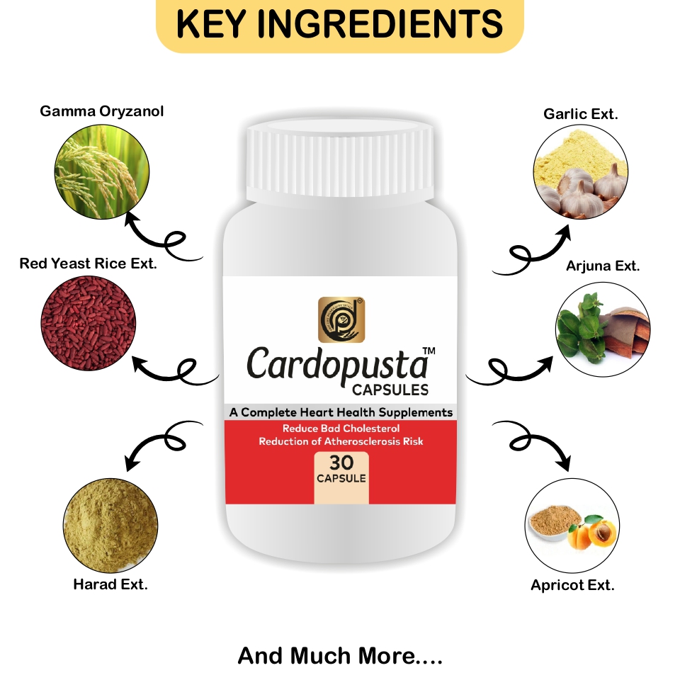 Noor-e-Jaan - Image 3