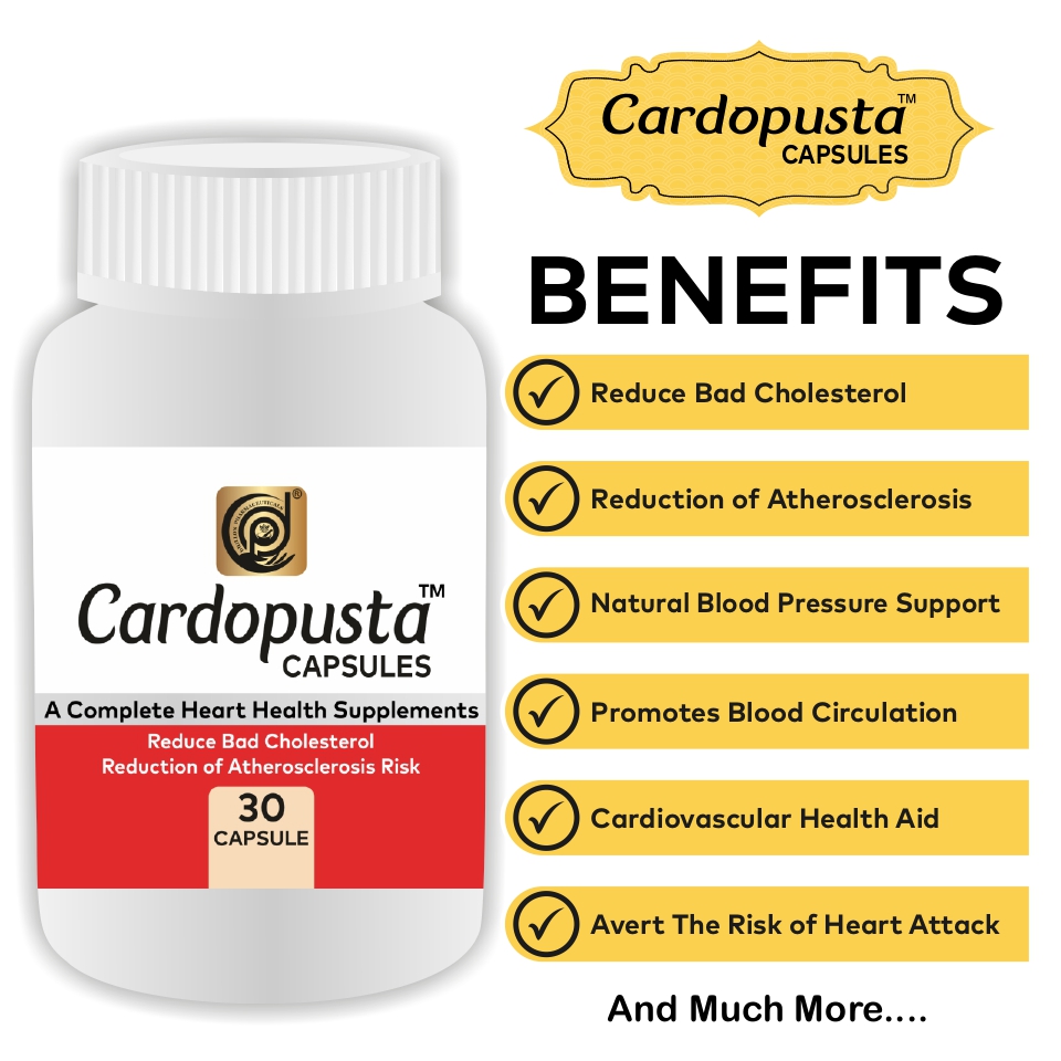 Noor-e-Jaan - Image 2